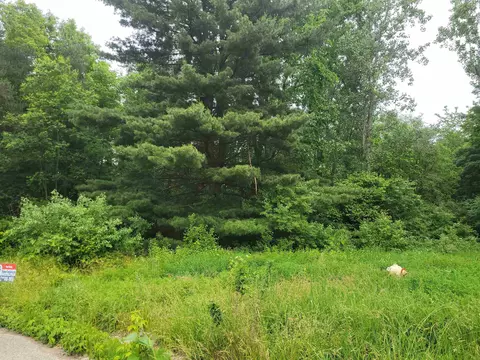 1350 Elm, Clio, MI 48420
