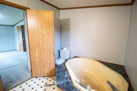 Bath - 7414 E Frances, Mount Morris, MI 48458 photo 2 of 3