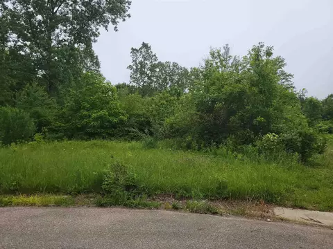 1355 Elm, Clio, MI 48420