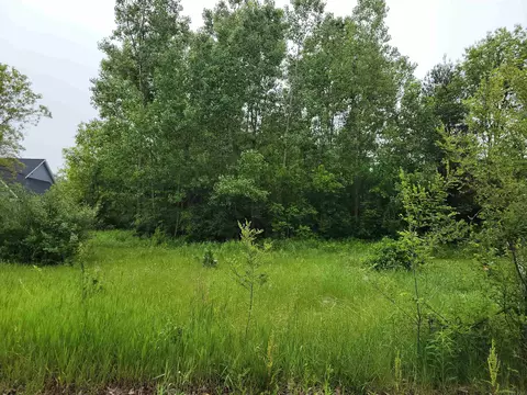 1375 Elm, Clio, MI 48420