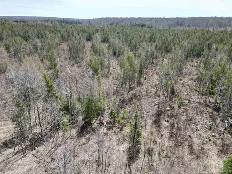 Tbd Off Cr 557, Arnold, MI 49819