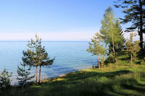 View/Area - 2545 Lakeshore Rd #LOT 71, Applegate, MI 48401 photo 2 of 5