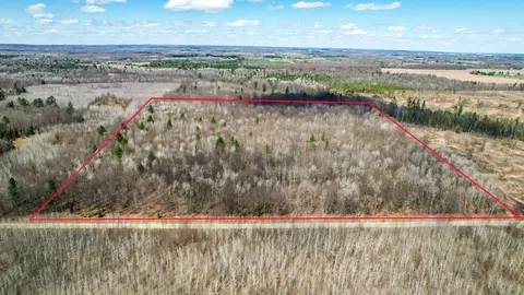 40 Acres Drummond, Gladwin, MI 48624