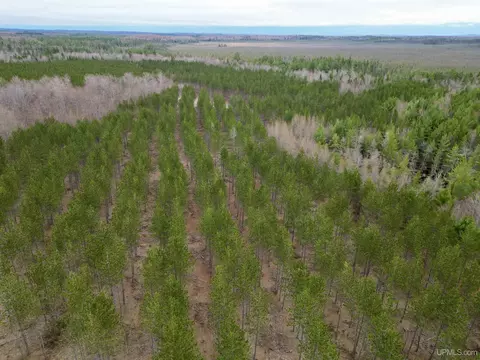 Tbd Off Cr 440, Rapid River, MI 49878
