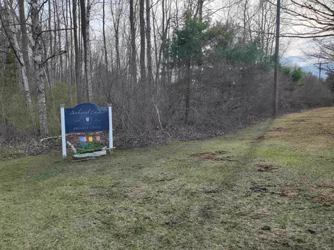 Tbd #2 Birch, Lexington, MI 48450