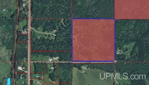 tbd Forest, Sagola, MI 49881
