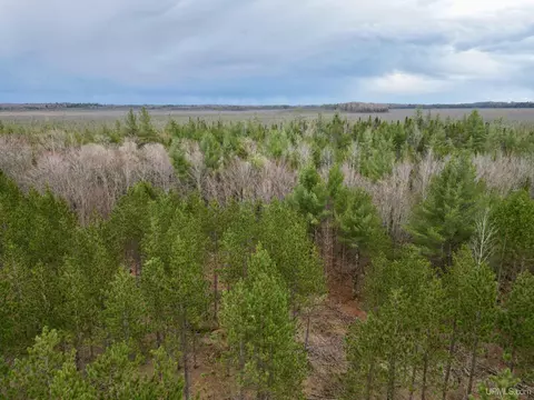 Tbd Off Cr 440, Rapid River, MI 49878