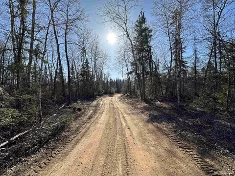 Tbd Co. Rd. Ffg, Republic, MI 49879