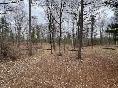 0 Crozier, Lupton, MI 48635 photo 5
