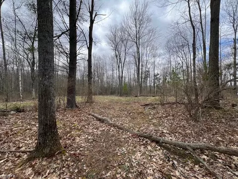 0 Crozier, Lupton, MI 48635 photo 10