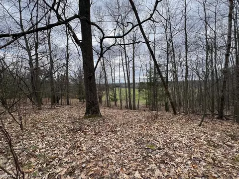 0 Crozier, Lupton, MI 48635 photo 2