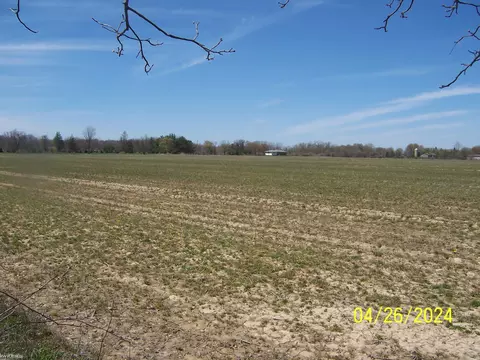 Vacant Stoddard, Columbus, MI 48063
