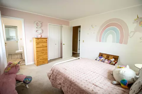 Bedroom - 815 State, Vassar, MI 48768 photo 12 of 12