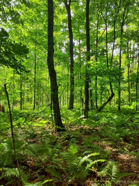 tbd Near Bestard, Ontonagon, MI 49953