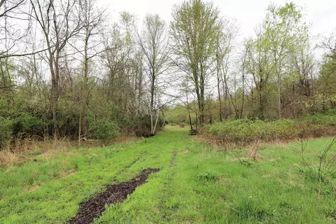 3350 E Burt, Burt, MI 48417 photo 3