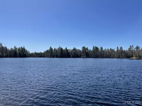 tbd S Off S Arfelin Lk, Michigamme, MI 49808