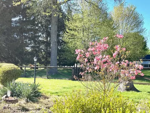 Exterior - 9601 Crabb, Temperance, MI 48182 photo 3 of 8