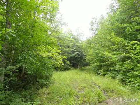 320 Acre Off Co Rd 510, Marquette, MI 49855
