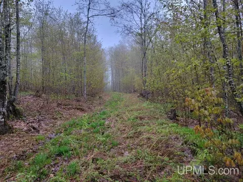 25486 Moilanen, Covington, MI 49919 photo 9