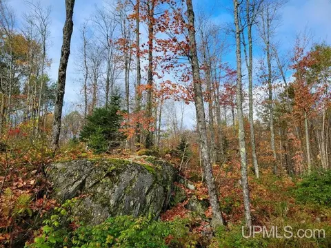 25486 Moilanen, Covington, MI 49919 photo 10