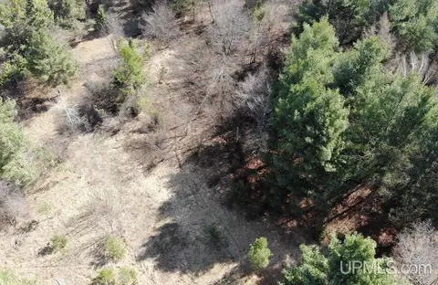 Tbd 8.44 Ac. Division, Trout Creek, MI 49967