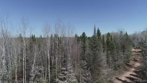 252 Acres Helen Lk, Republic, MI 49879