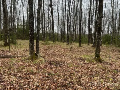 6051 Ross Grade, Arnold, MI 49819 photo 15
