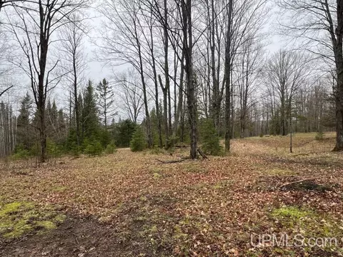 6051 Ross Grade, Arnold, MI 49819 photo 16