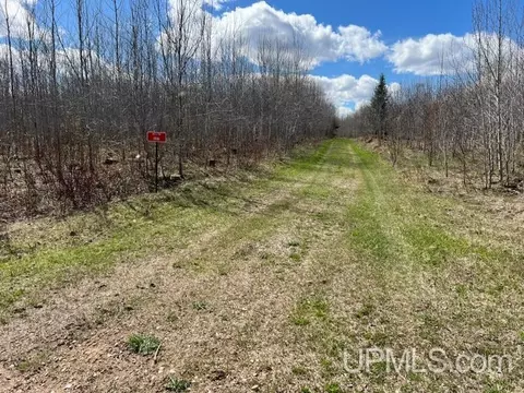 6051 Ross Grade, Arnold, MI 49819 photo 13