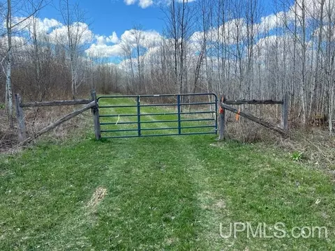 6051 Ross Grade, Arnold, MI 49819 photo 12