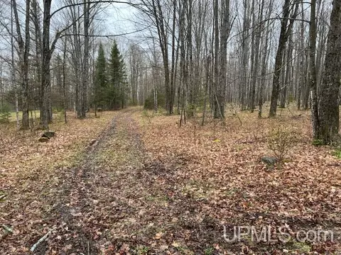 6051 Ross Grade, Arnold, MI 49819 photo 14