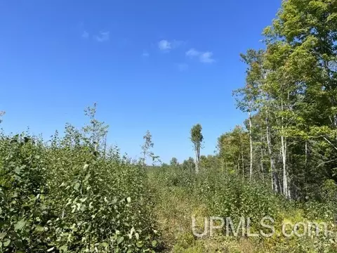 40 Acres Hilltop Kelso, Crystal Falls, MI 49920