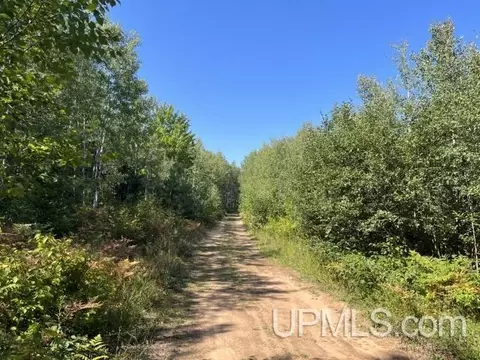 80 Acres Off Hilltop Kelso, Crystal Falls, MI 49920