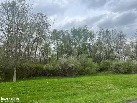 4463 Timber Rdg, Bruce, MI 48065 photo 11