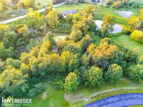4463 Timber Rdg, Bruce, MI 48065 photo 6