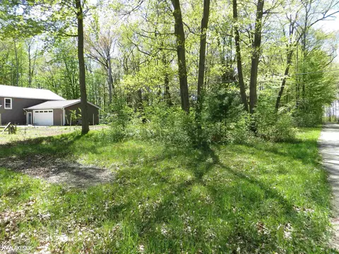 8772 Port Austin, Pigeon, MI 48755