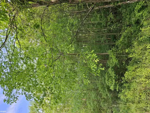 00 Lindsey Rd, Marine City, MI 48054