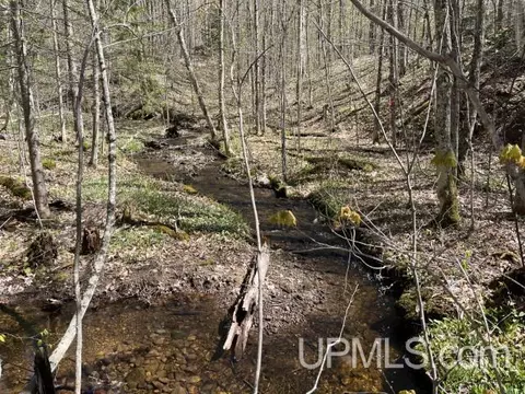 80 Acres Off Dalton, Skandia, MI 49885