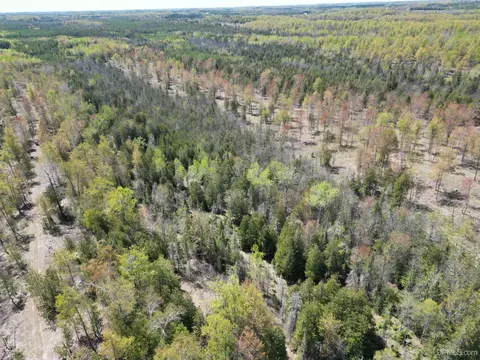 Other - n15849 Carlson Ln H, Powers, MI 49874 photo 22 of 29