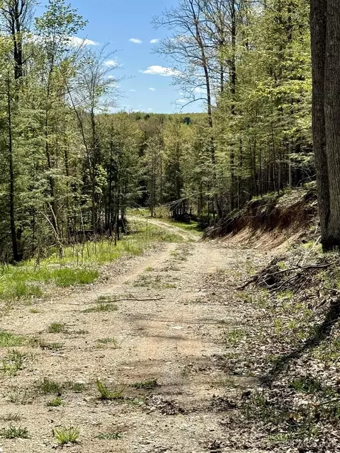 Other - n15849 Carlson Ln H, Powers, MI 49874 photo 20 of 29