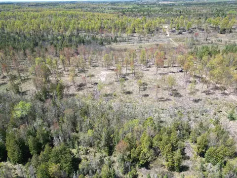 View/Area - n15849 Carlson Ln H, Powers, MI 49874 photo 10 of 10