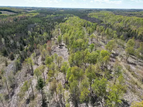 View/Area - n15849 Carlson Ln H, Powers, MI 49874 photo 6 of 10