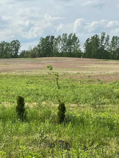 3000 E Blk E Carleton #LOT H, Adrian, MI 49221 photo 3