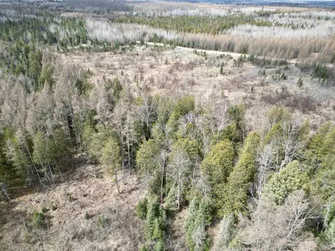 Tbd Ccc Rd, Vulcan, MI 49892