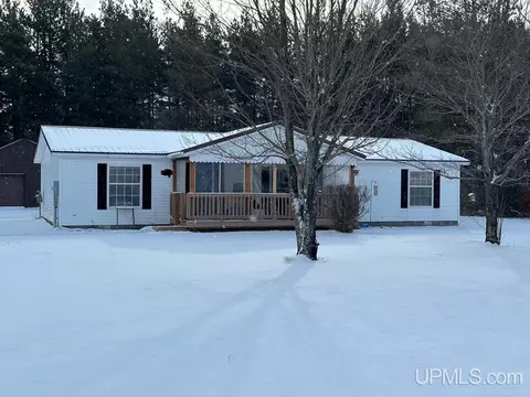 5156 County Road 389, Newberry, MI 49868