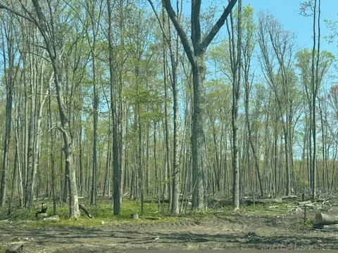 20 Acres West Pne, Roscommon, MI 48653