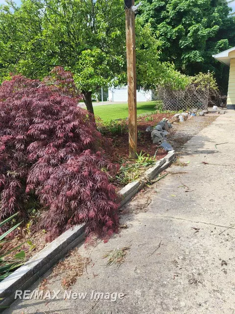 Exterior - 203 Bacon, Bad Axe, MI 48413 photo 7 of 27