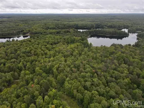 lot12 Grace Lk, Watersmeet, MI 49968