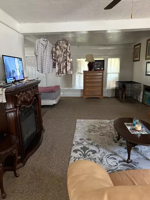 Living - 201 E Hamilton, Flint, MI 48505 photo 1 of 3