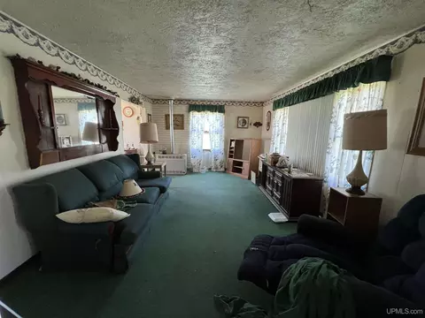 3499 M94, Chatham, MI 49816 photo 20